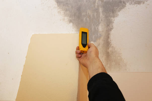 Best Comprehensive Air Testing for Mold Contaminants  in Marriott Slaterville, UT