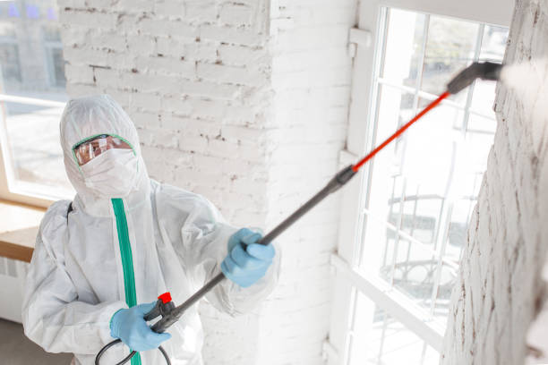 Best Dehumidification Services  in Marriott Slaterville, UT