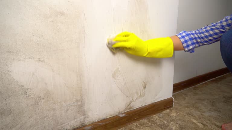 Forensic Mold Investigation in Marriott Slaterville, UT