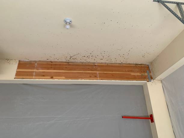 Best Real Estate Mold Inspection  in Marriott Slaterville, UT