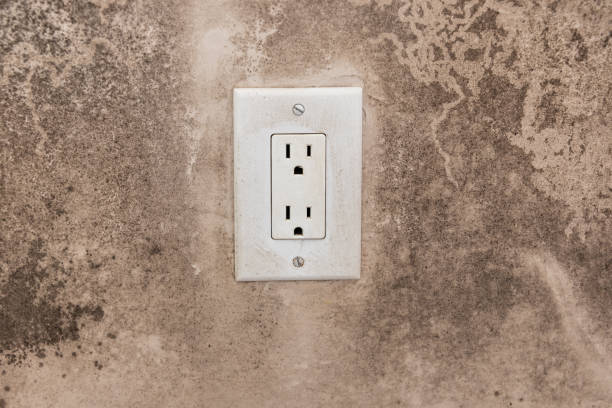 Best Mold Odor Removal Services  in Marriott Slaterville, UT