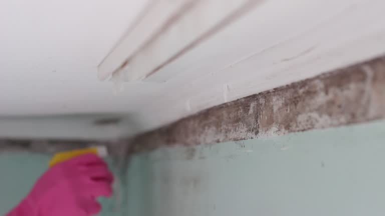 Best Mold Remediation for Healthcare Facilities  in Marriott Slaterville, UT